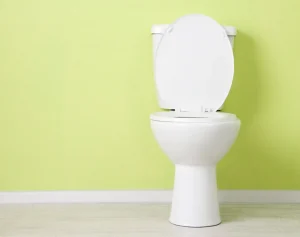 White-toilet-bowl-in-a-bathroom - Frei Remodeling & Construction - Frei Remodeling & Construction